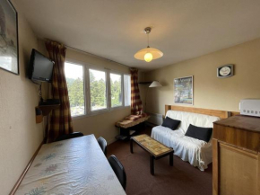 Appartement T2 idéal famille, proche commerces et pistes, lave-vaisselle, lave-linge, TV LCD/DVD - FR-1-787-34